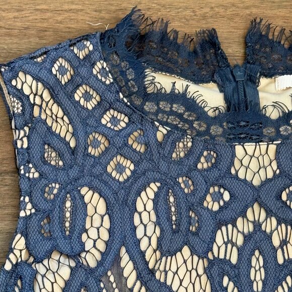 Francescas Mi Ami Dress Womens M Blue Lace Bodycon Zipper Back Elegant Details - Picture 6 of 10
